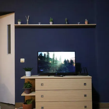 Apartament Downtown *